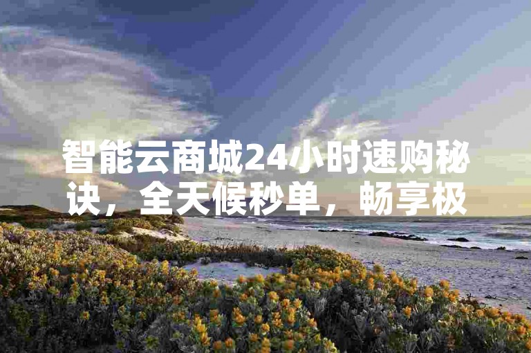 智能云商城24小时速购秘诀，全天候秒单，畅享极速购物新体验！2025必备