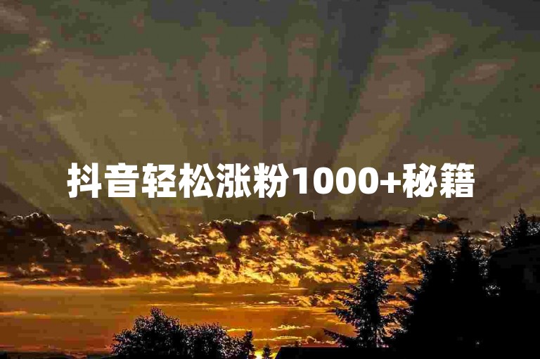 抖音轻松涨粉1000+秘籍