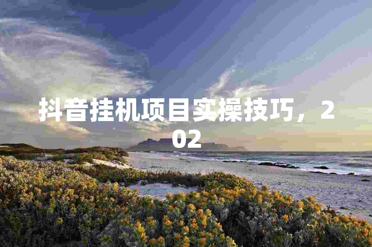 抖音挂机项目实操技巧，2025最新SEO策略全攻略