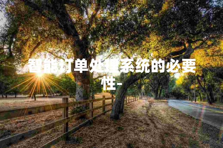智能订单处理系统的必要性-