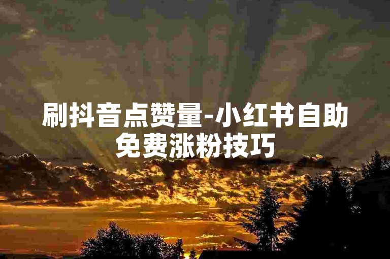 刷抖音点赞量-小红书自助免费涨粉技巧