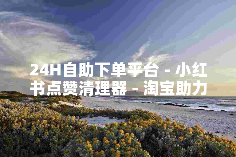 24H自助下单平台 - 小红书点赞清理器 - 淘宝助力砍价网 - 微信代充服务专业站