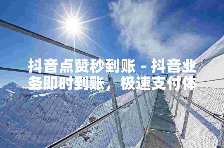 抖音点赞秒到账 - 抖音业务即时到账，极速支付体验！