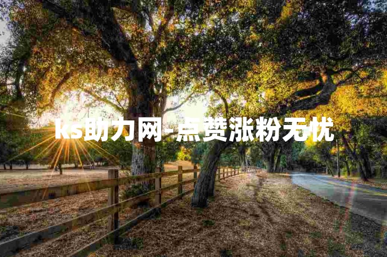 ks助力网-点赞涨粉无忧