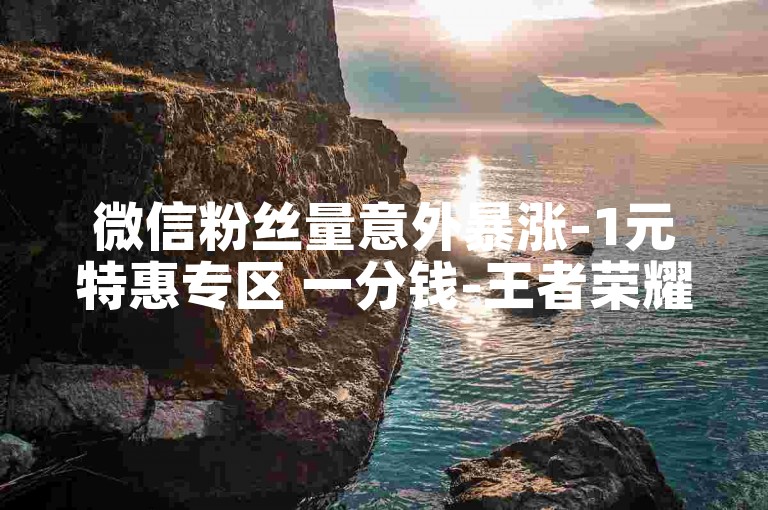 微信粉丝量意外暴涨-1元特惠专区 一分钱-王者荣耀辅助平台-微信卡盟超值入口