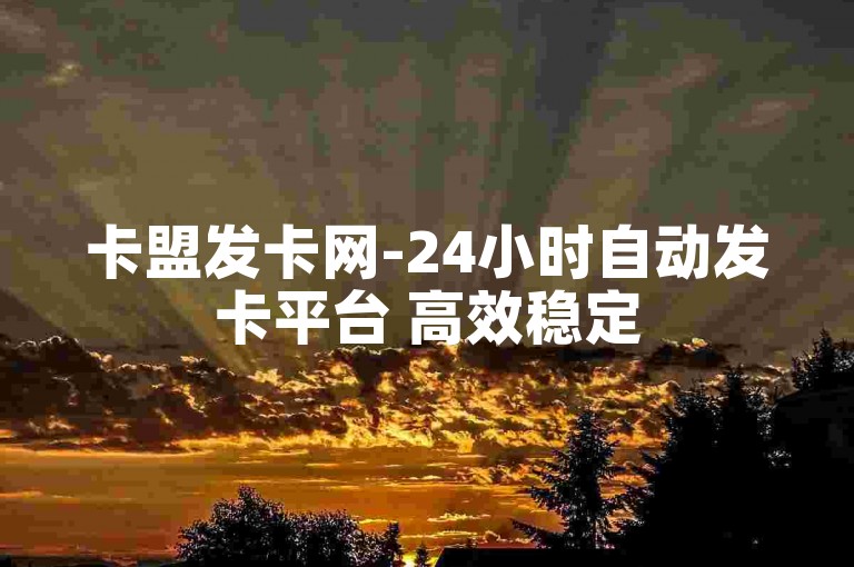 卡盟发卡网-24小时自动发卡平台 高效稳定