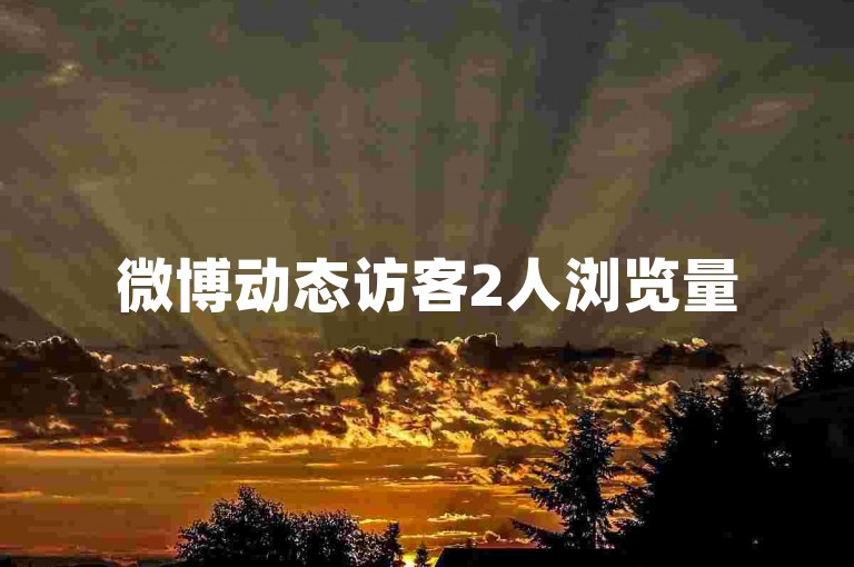 微博动态访客2人浏览量5