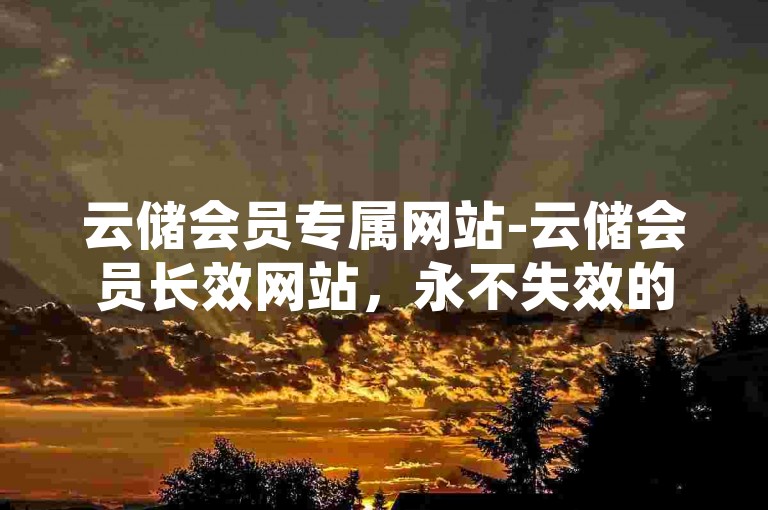 云储会员专属网站-云储会员长效网站，永不失效的优质资源