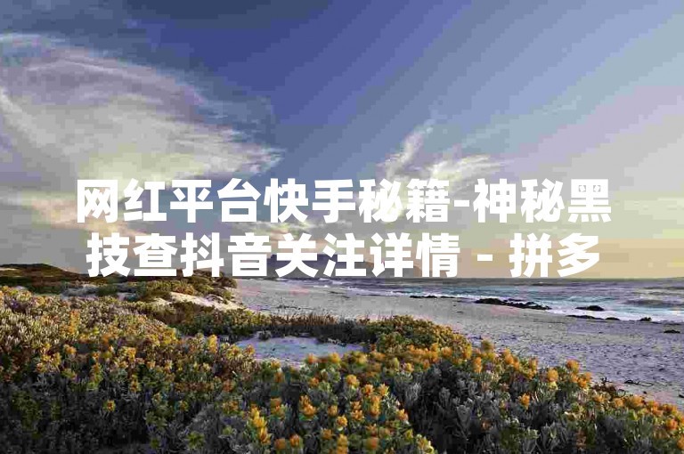 网红平台快手秘籍-神秘黑技查抖音关注详情 - 拼多多助力神器 - QQ空间访友