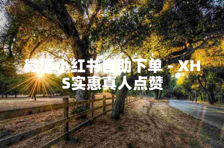 微博小红书自助下单 - XHS实惠真人点赞
