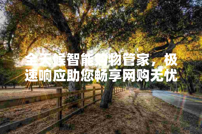 全天候智能购物管家，极速响应助您畅享网购无忧