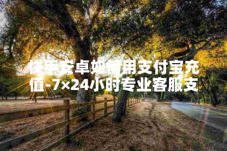 快手安卓如何用支付宝充值-7×24小时专业客服支持