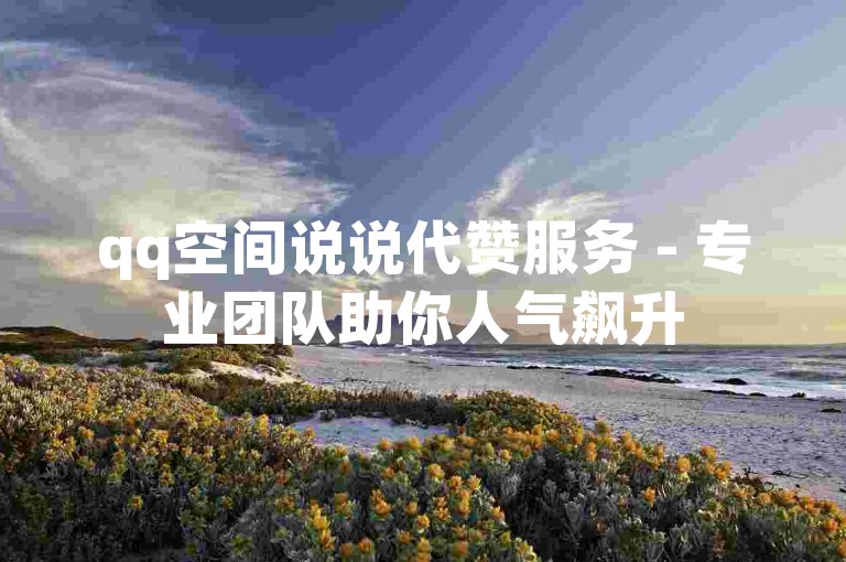 qq空间说说代赞服务 - 专业团队助你人气飙升
