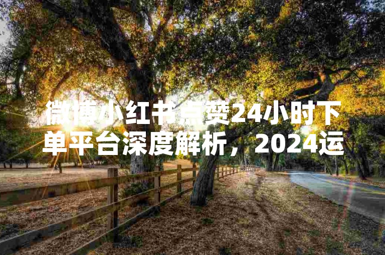 微博小红书点赞24小时下单平台深度解析，2024运营必备技巧！