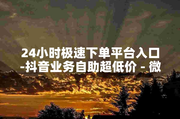 24小时极速下单平台入口-抖音业务自助超低价 - 微信云商城随时在线接单 - 微信每日领免费赞