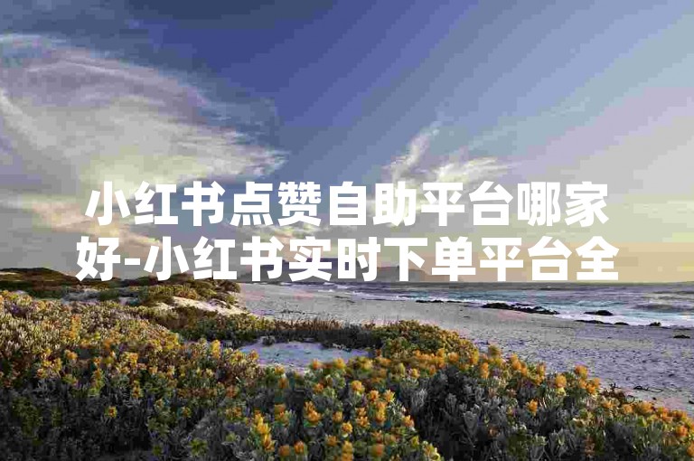 小红书点赞自助平台哪家好-小红书实时下单平台全天无偿服务