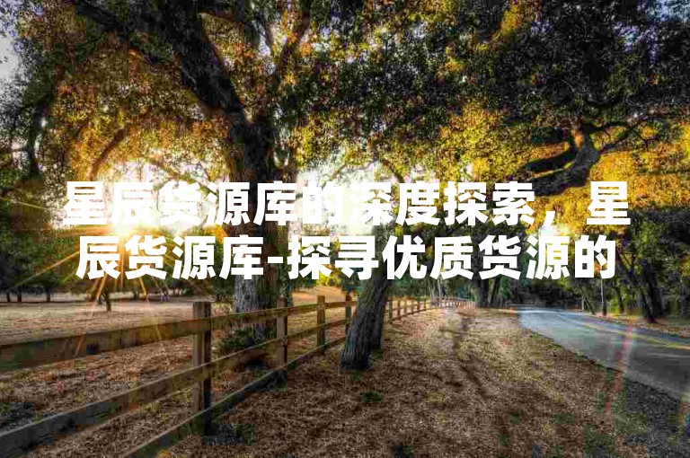 星辰货源库的深度探索，星辰货源库-探寻优质货源的理想之选！2025必备