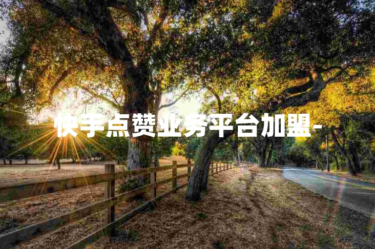 快手点赞业务平台加盟-