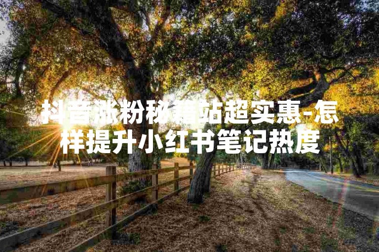 抖音涨粉秘籍站超实惠-怎样提升小红书笔记热度