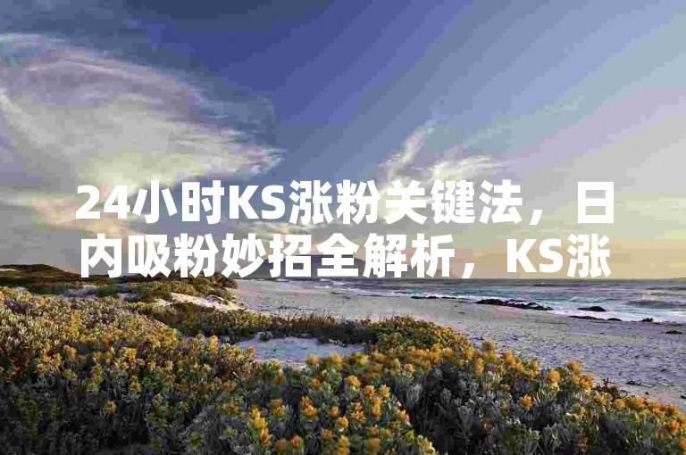 24小时KS涨粉关键法，日内吸粉妙招全解析，KS涨粉秘籍！新手速学！