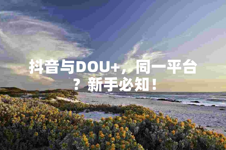 抖音与DOU+，同一平台？新手必知！