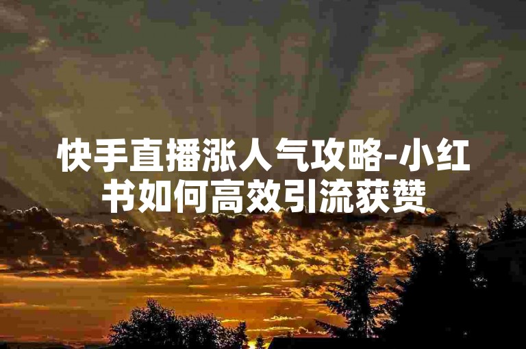 快手直播涨人气攻略-小红书如何高效引流获赞