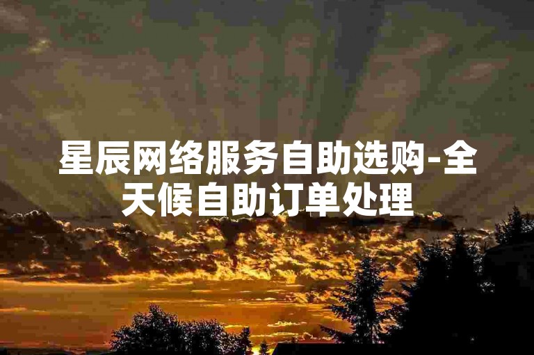 星辰网络服务自助选购-全天候自助订单处理50赞-数码联盟24小时在线下单-北辰业务站