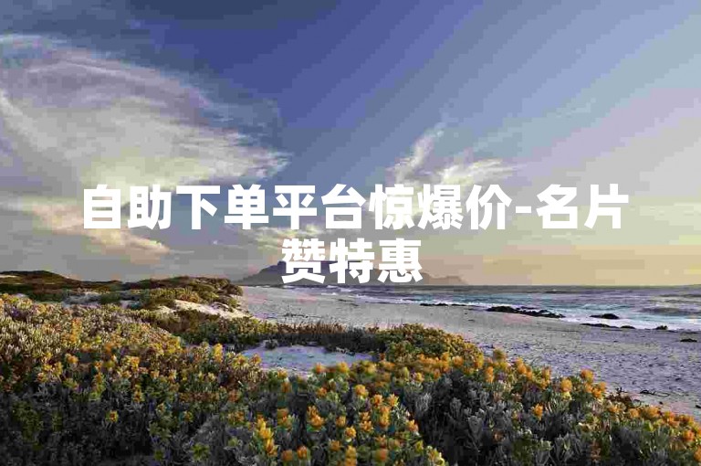 自助下单平台惊爆价-名片赞特惠