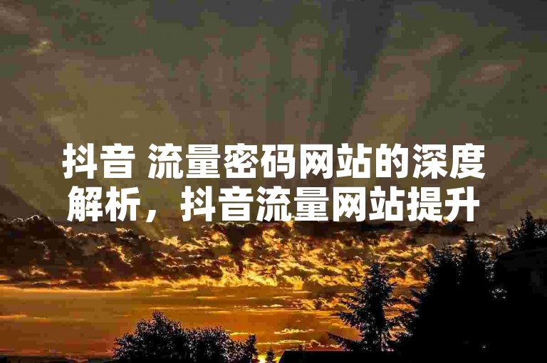 抖音 流量密码网站的深度解析，抖音流量网站提升技巧！2024必备