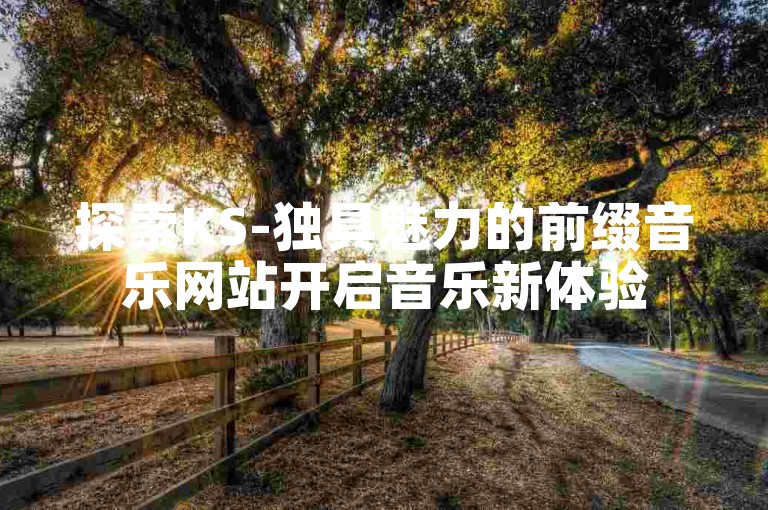 探索KS-独具魅力的前缀音乐网站开启音乐新体验