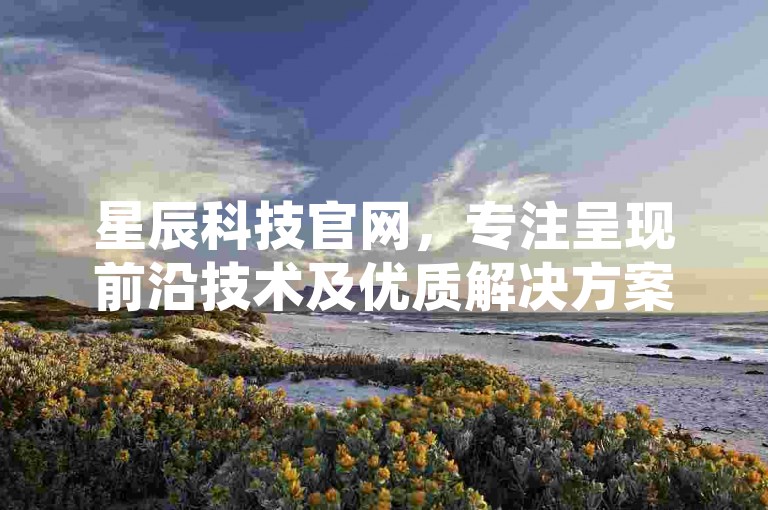 星辰科技官网，专注呈现前沿技术及优质解决方案的网络窗口