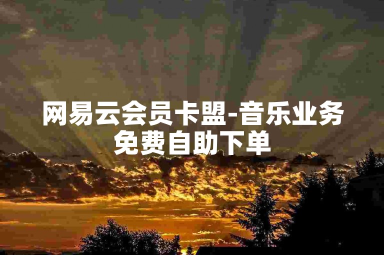 网易云会员卡盟-音乐业务免费自助下单