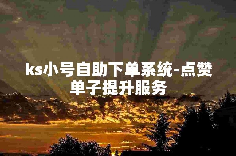 ks小号自助下单系统-点赞单子提升服务