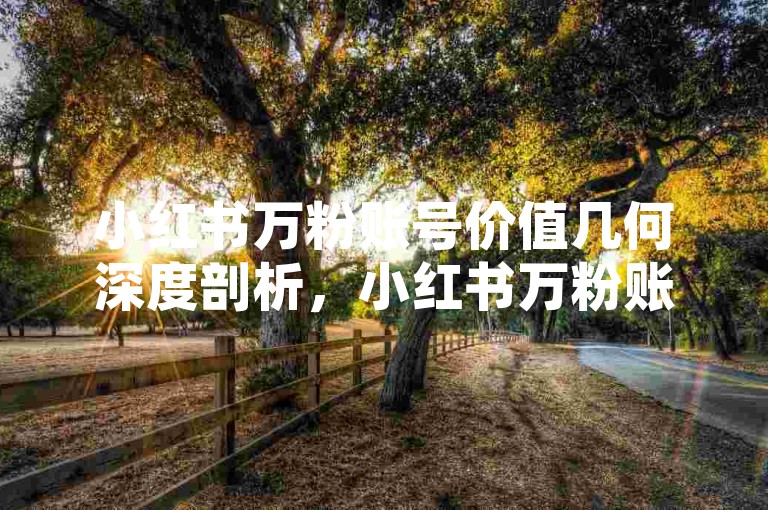 小红书万粉账号价值几何深度剖析，小红书万粉账号价值揭秘！2025必备-小红书xh流量工具