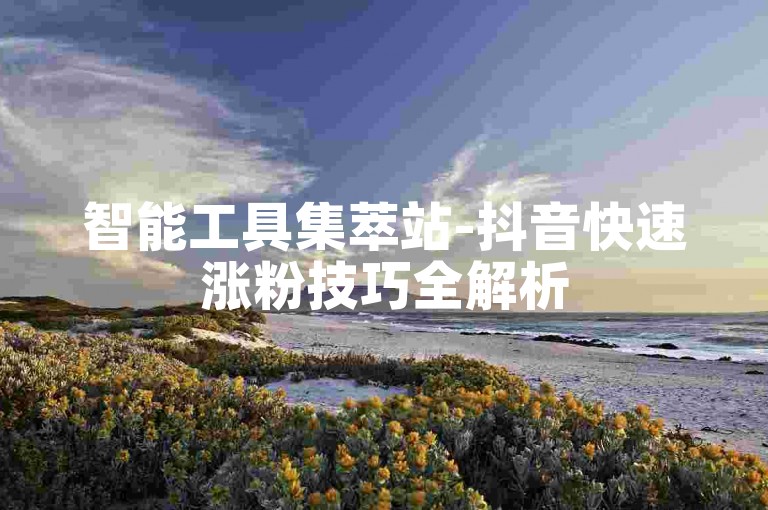 智能工具集萃站-抖音快速涨粉技巧全解析