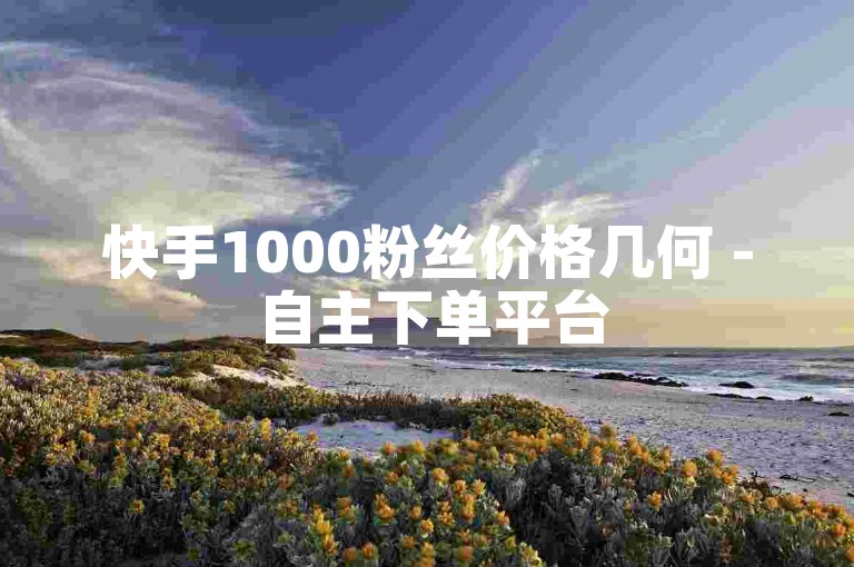 快手1000粉丝价格几何 - 自主下单平台