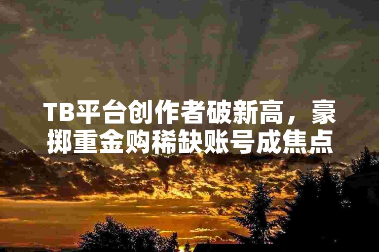 TB平台创作者破新高，豪掷重金购稀缺账号成焦点