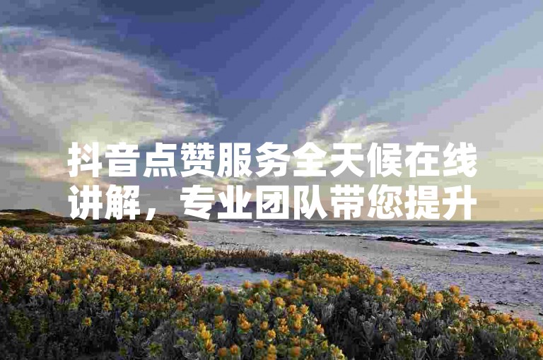 抖音点赞服务全天候在线讲解，专业团队带您提升点赞量-