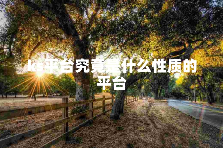 ks平台究竟是什么性质的平台