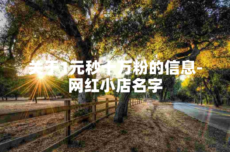 关于1元秒十万粉的信息-网红小店名字