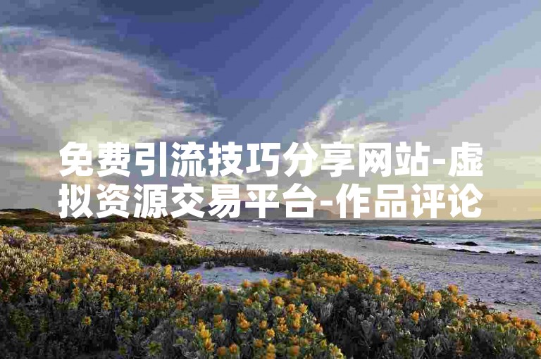 免费引流技巧分享网站-虚拟资源交易平台-作品评论-全天候自助服务站点