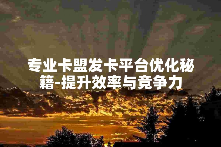 专业卡盟发卡平台优化秘籍-提升效率与竞争力