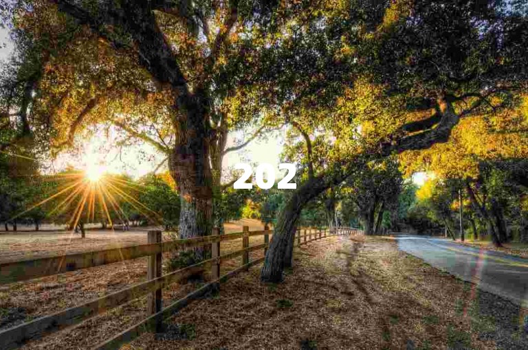 2025抖音百元获万粉秘籍，神奇工具助力，速来涨粉！
