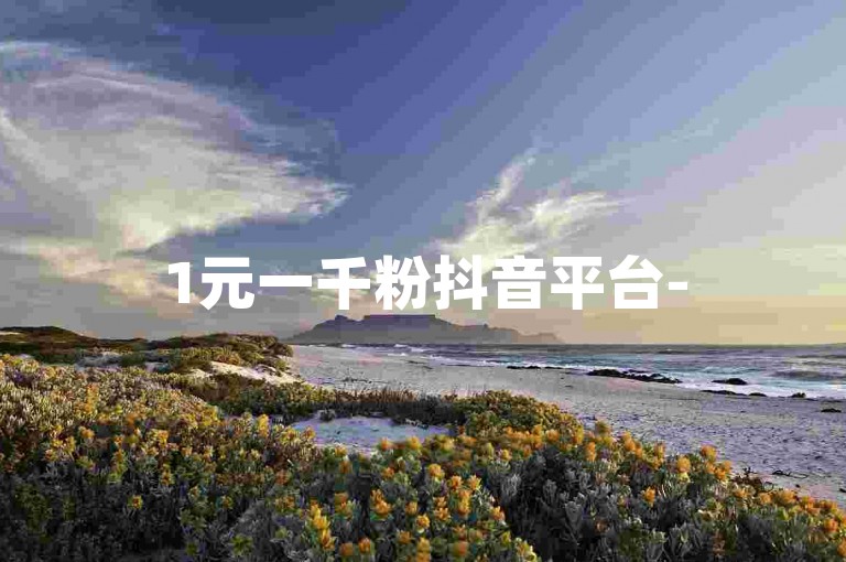 1元一千粉抖音平台-
