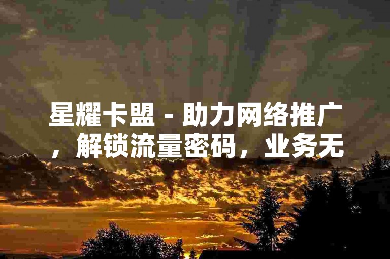 星耀卡盟 - 助力网络推广，解锁流量密码，业务无忧畅行