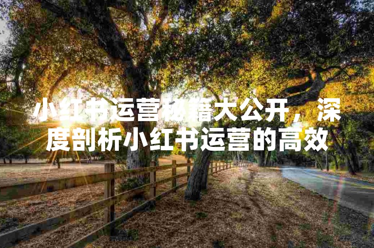 小红书运营秘籍大公开，深度剖析小红书运营的高效方法！2025必备