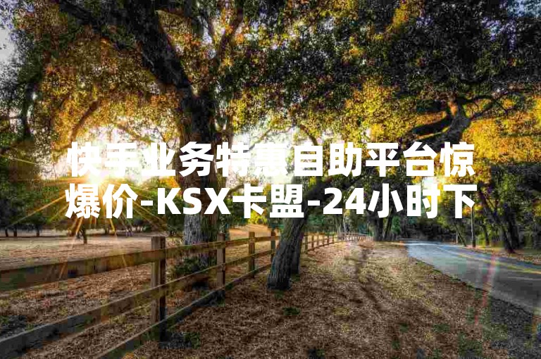 快手业务特惠自助平台惊爆价-KSX卡盟-24小时下单-源头货源网