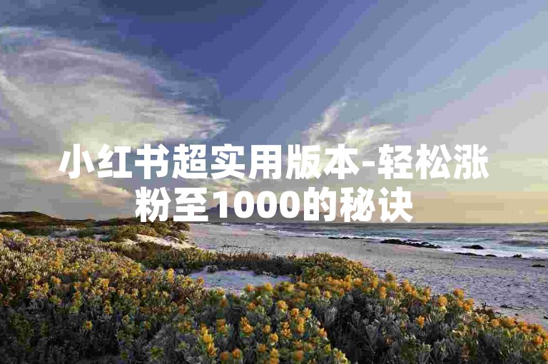 小红书超实用版本-轻松涨粉至1000的秘诀