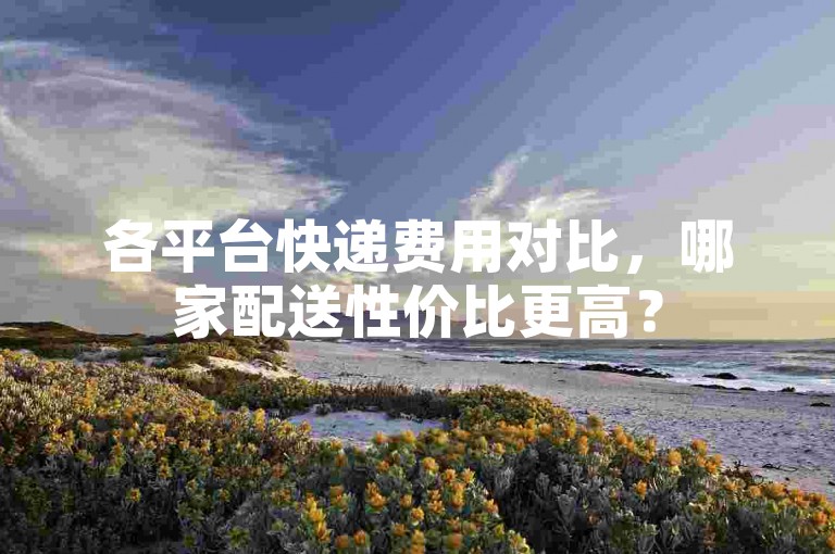 各平台快递费用对比，哪家配送性价比更高？