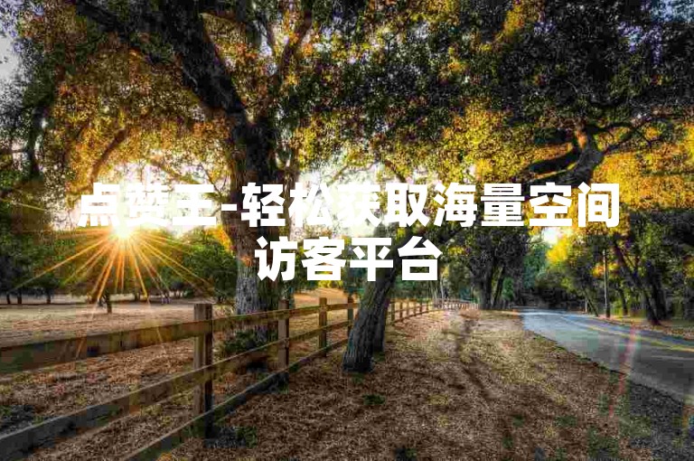 点赞王-轻松获取海量空间访客平台